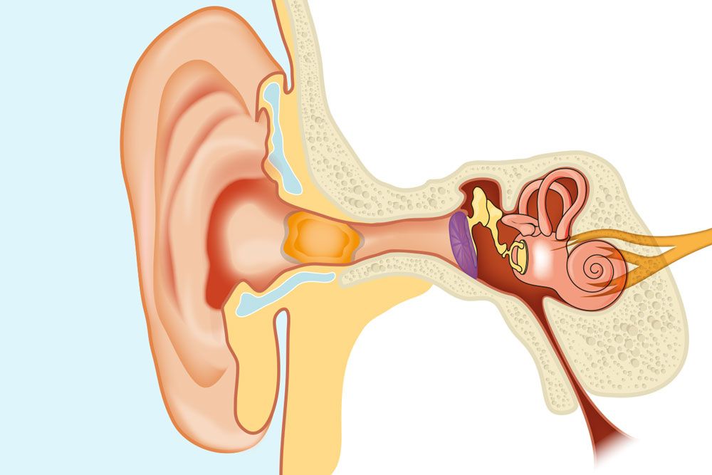 ear wax build up